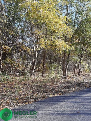 Działka budowlana Żółwin. Zdjęcie 7