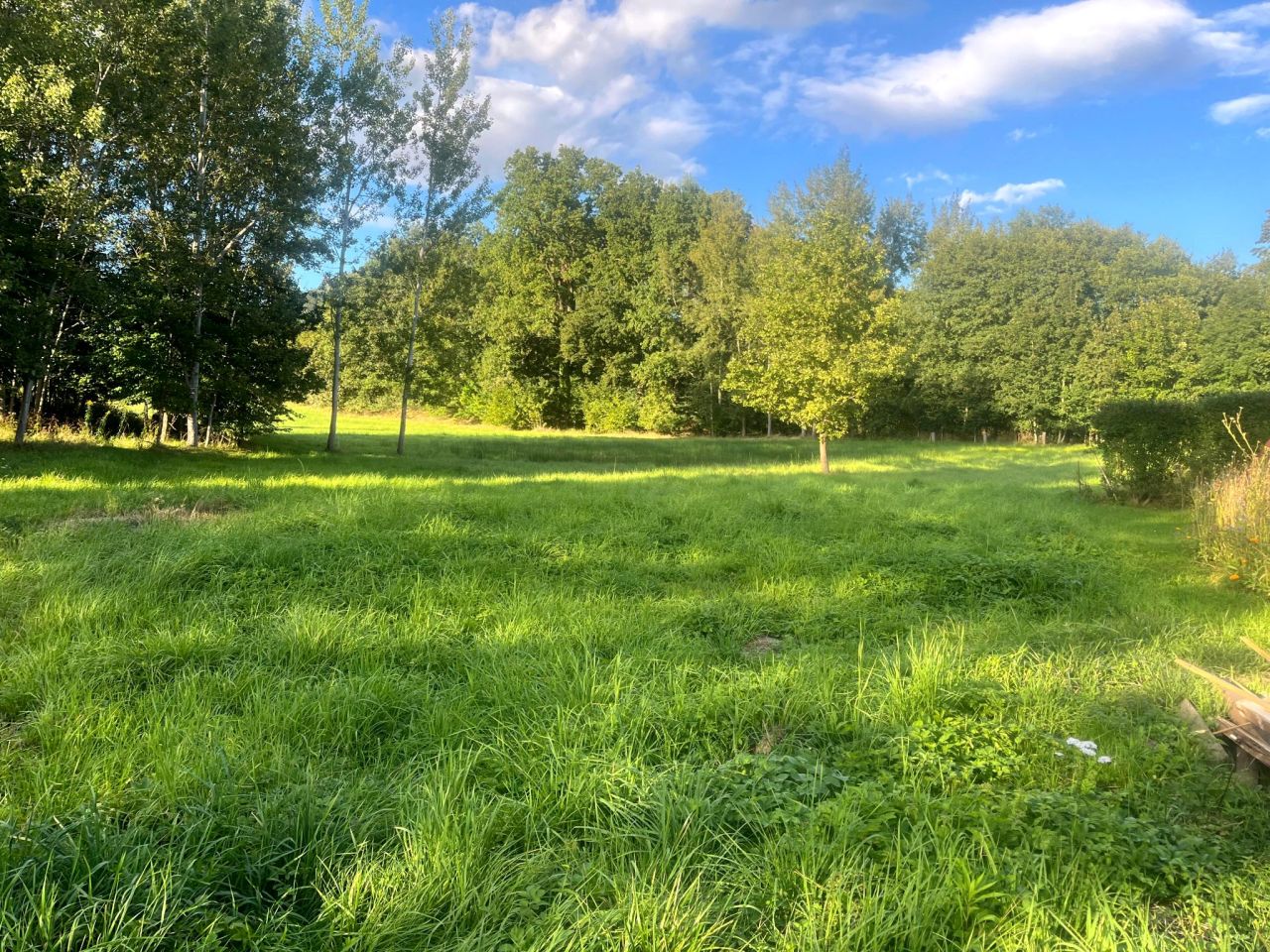 Działka budowlana Karpniki. Zdjęcie 7