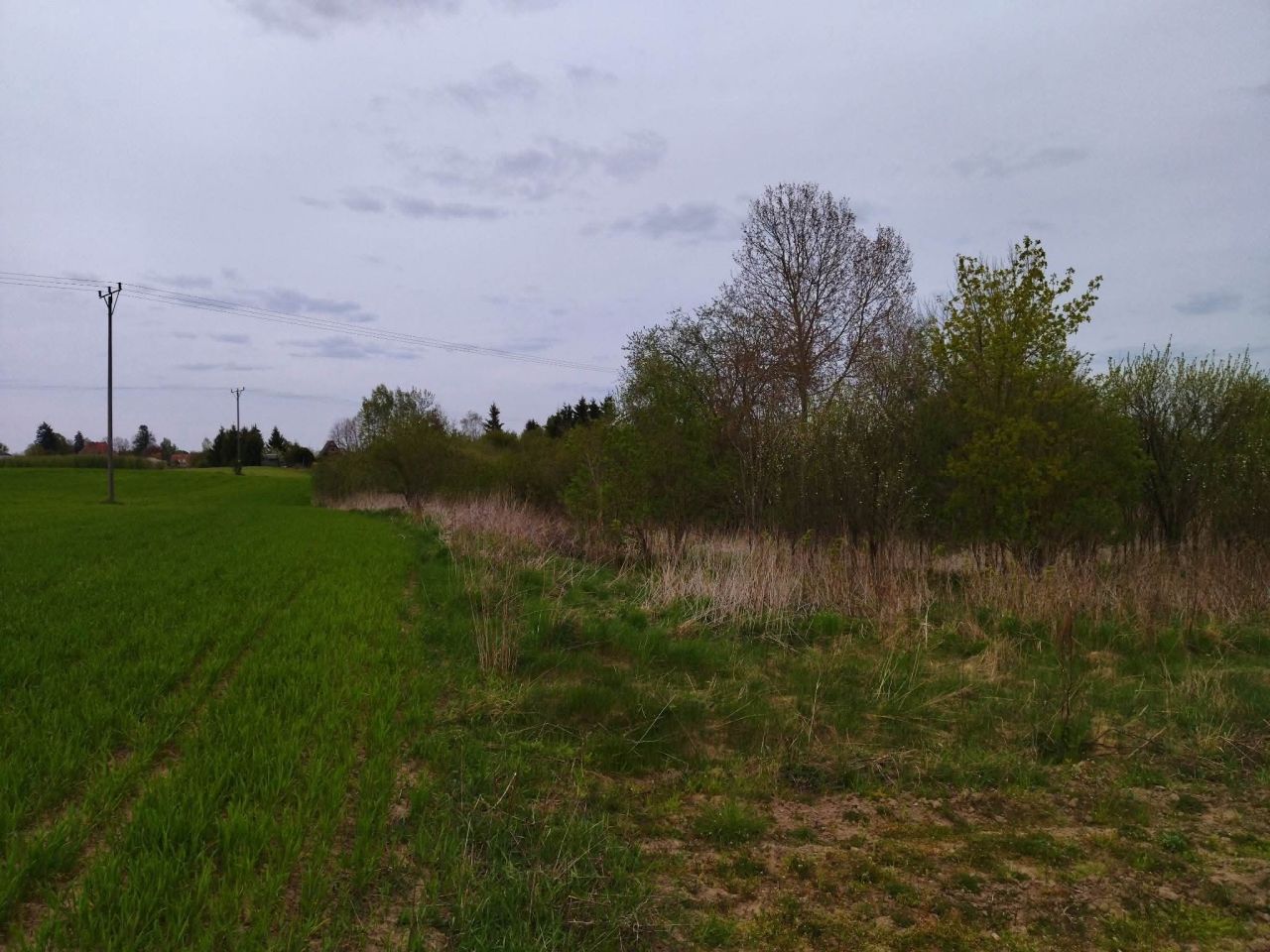 Działka budowlana Dźwierzuty, Dźwierzuty. Zdjęcie 11