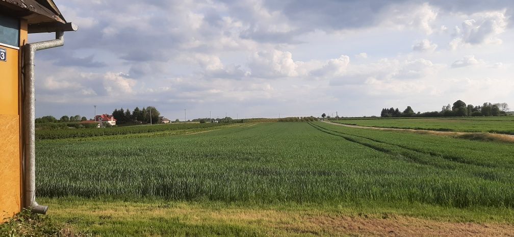 Działka rolno-budowlana Ratoszyn Pierwszy. Zdjęcie 5