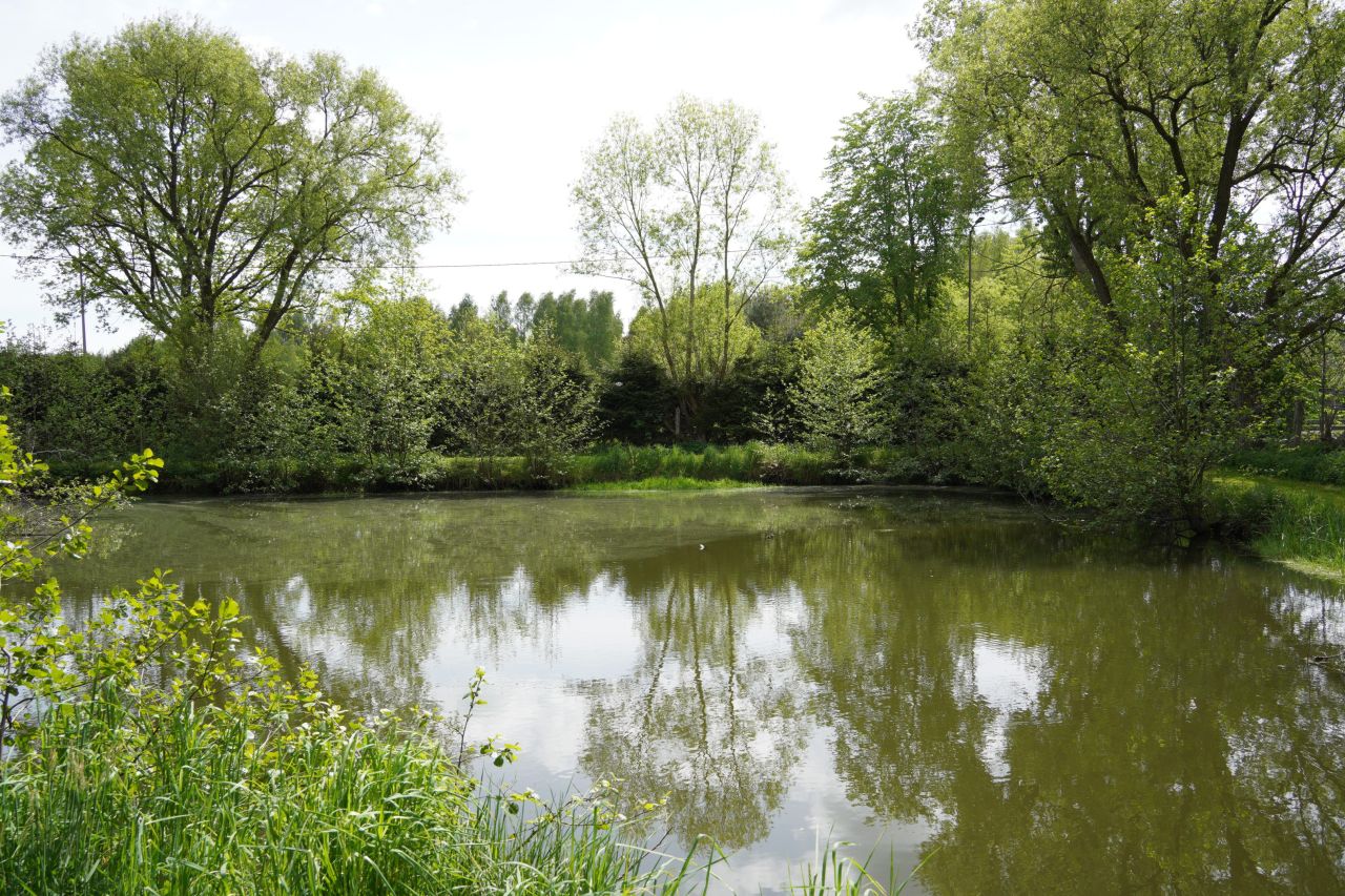 Działka rekreacyjna Stawno. Zdjęcie 6