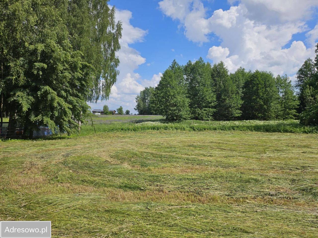 dom wolnostojący, 5 pokoi Pasynki. Zdjęcie 3