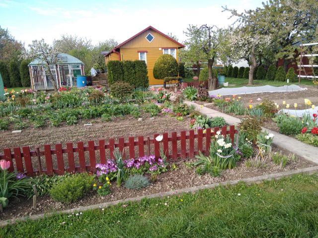 Działka rod Franciszków, ul. Szeroka. Zdjęcie 1