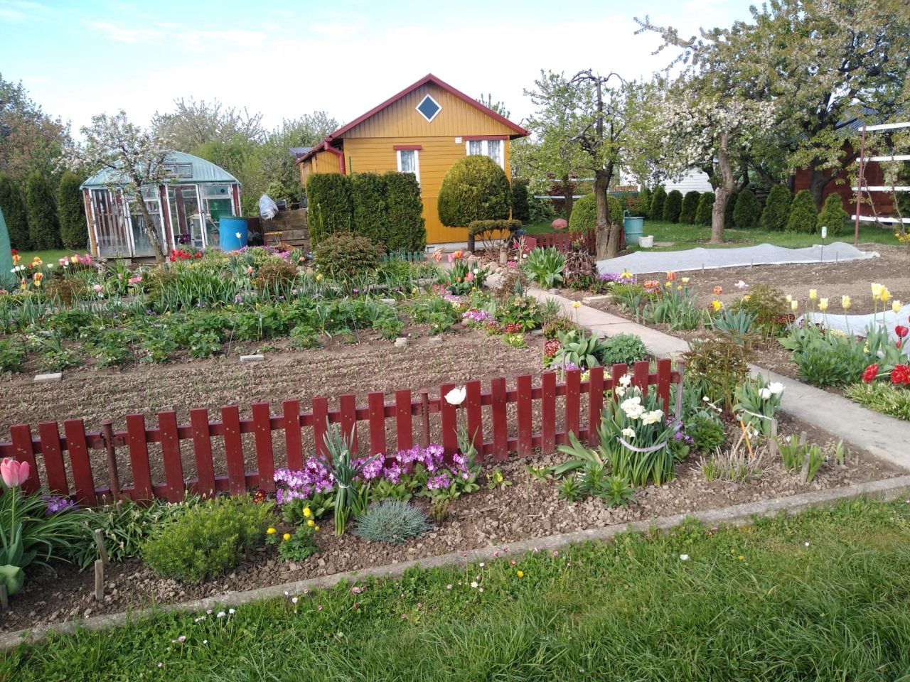 Działka rod Franciszków, ul. Szeroka. Zdjęcie 1