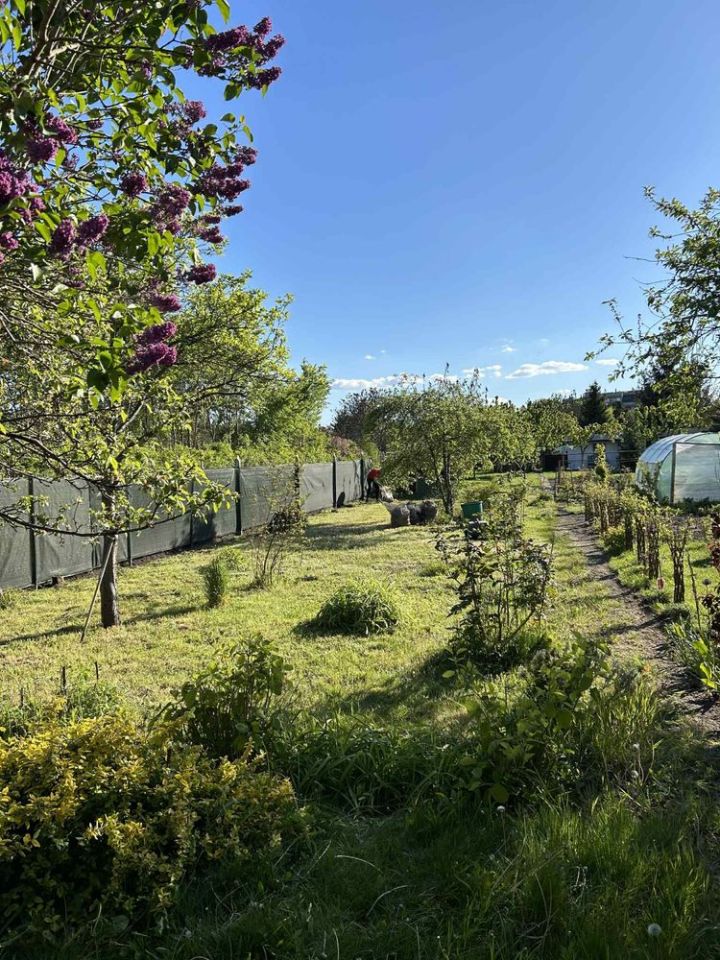 Działka rod Wrocław Księże Małe, ul. Zabrzańska. Zdjęcie 5