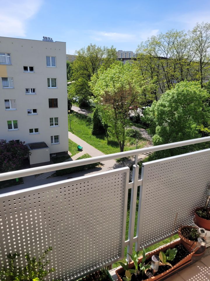 Mieszkanie 3-pokojowe Zielona Góra Centrum, ul. Aleja Wojska Polskiego. Zdjęcie 3