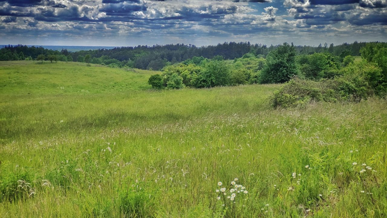 Działka rolna Łęgowo. Zdjęcie 2