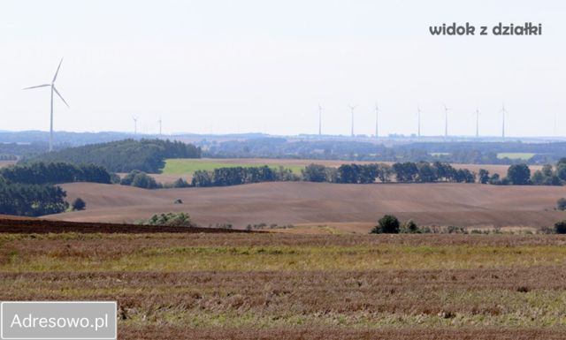 Działka inwestycyjna Barnisław. Zdjęcie 1