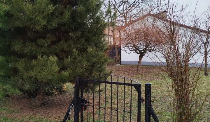 Działka rod Zduńska Wola, Mostowa/Północna