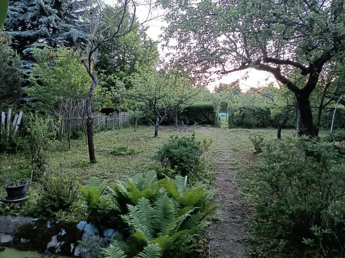 Działka rod Łódź Widzew. Zdjęcie 4
