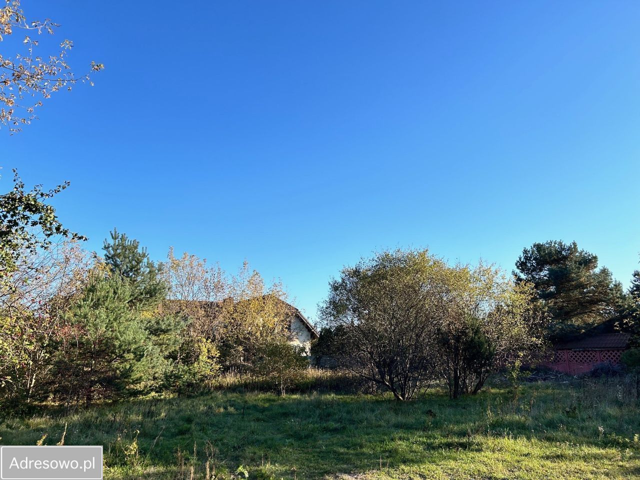 Działka budowlana Wola Aleksandra, ul. Wolska. Zdjęcie 9