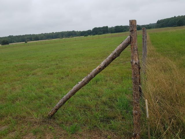Działka budowlana Sarbsk, Sarbsk. Zdjęcie 25
