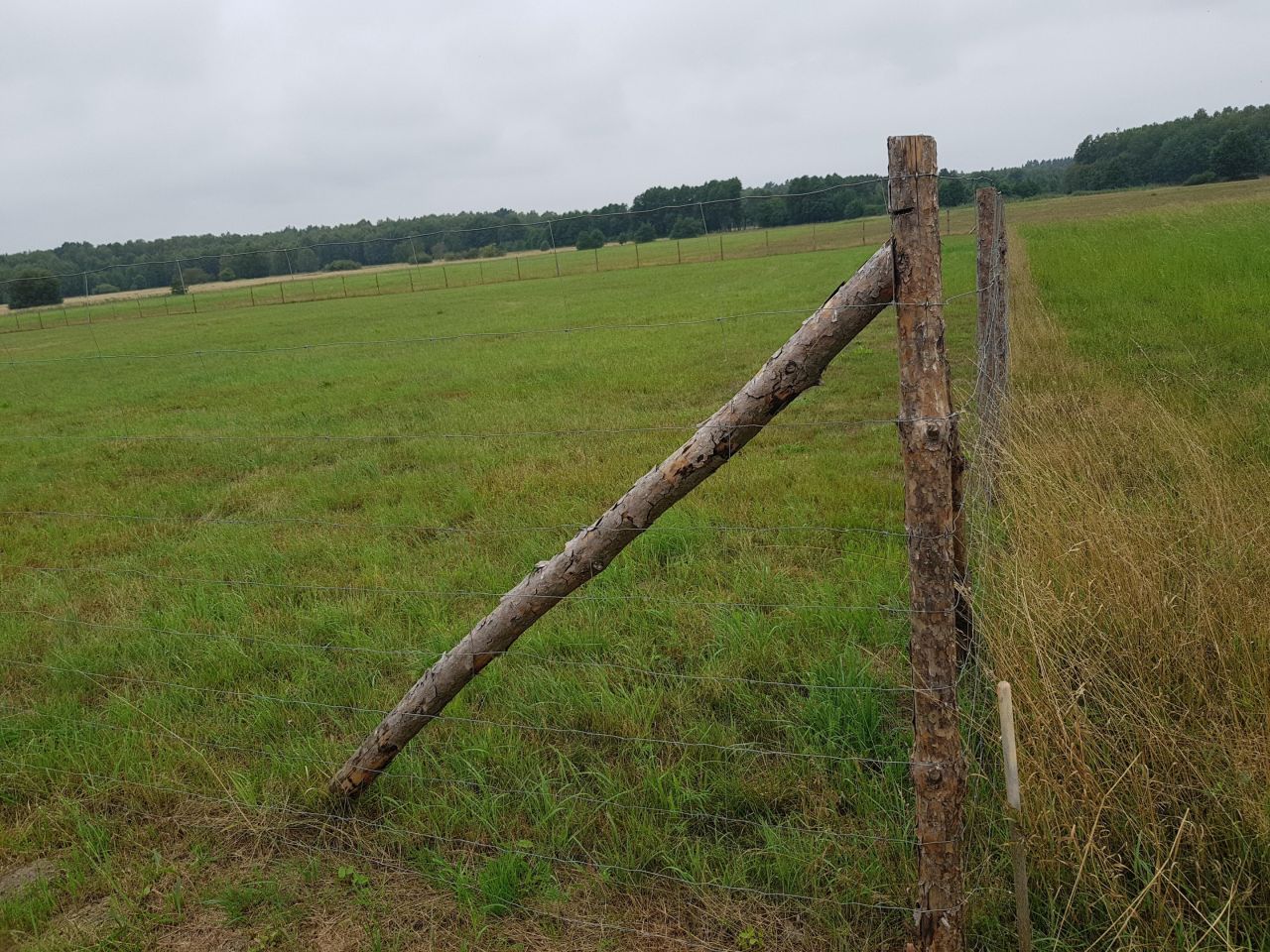 Działka budowlana Sarbsk, Sarbsk. Zdjęcie 25