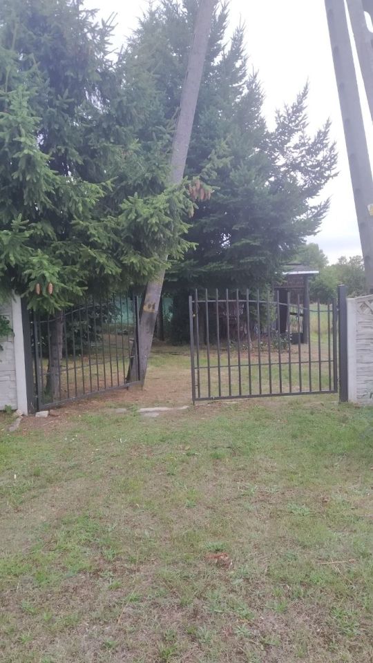 Działka budowlana Krzywin, Drzewiarzy. Zdjęcie 7