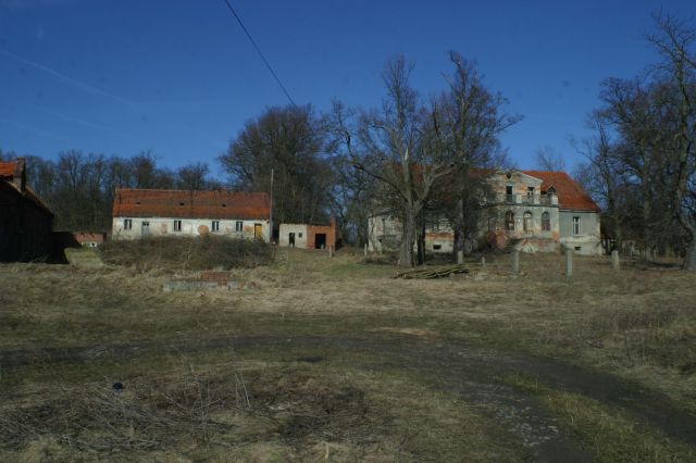Działka siedliskowa Rogów Wołowski. Zdjęcie 1