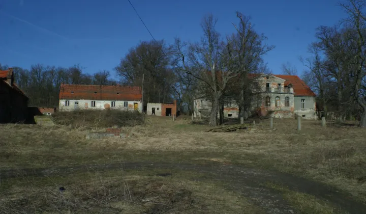 Działka siedliskowa Rogów Wołowski