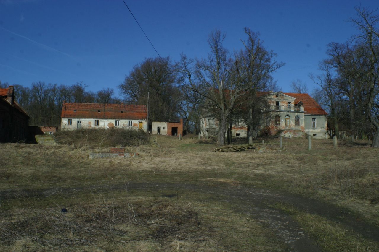 Działka siedliskowa Rogów Wołowski. Zdjęcie 1
