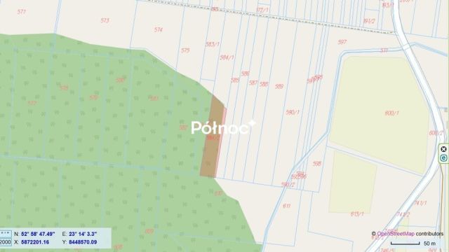 Działka leśna Krynickie. Zdjęcie 8