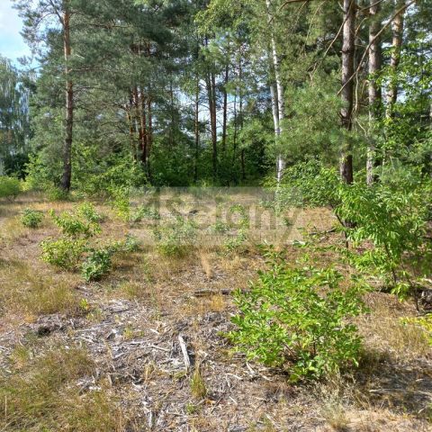 Działka budowlana Chotomów. Zdjęcie 5