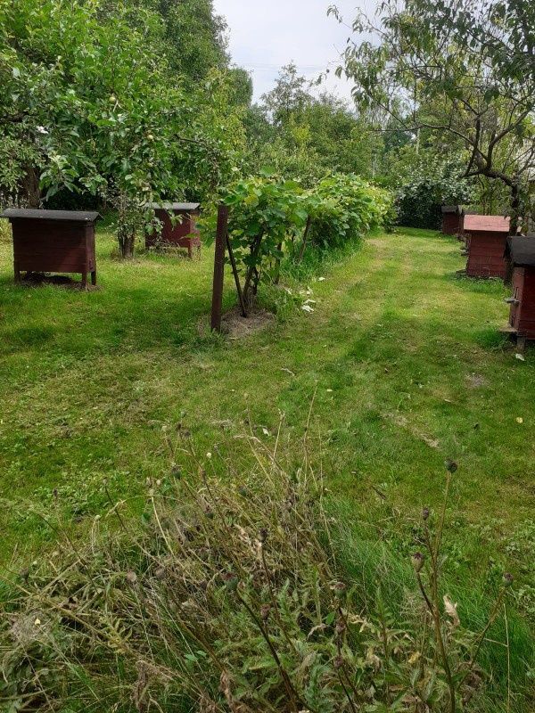 Działka siedliskowa Tuczępy. Zdjęcie 7