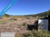 Działka Maszkowice. Zdjęcie 1