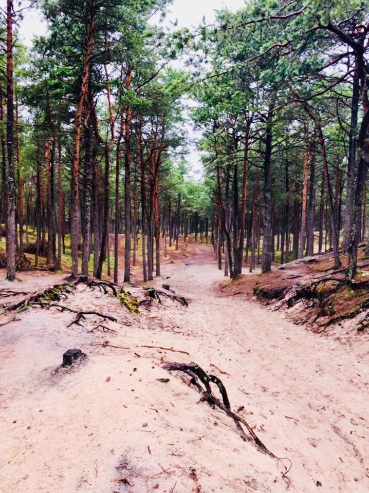 Działka budowlana Sarbsk, Sarbsk. Zdjęcie 35