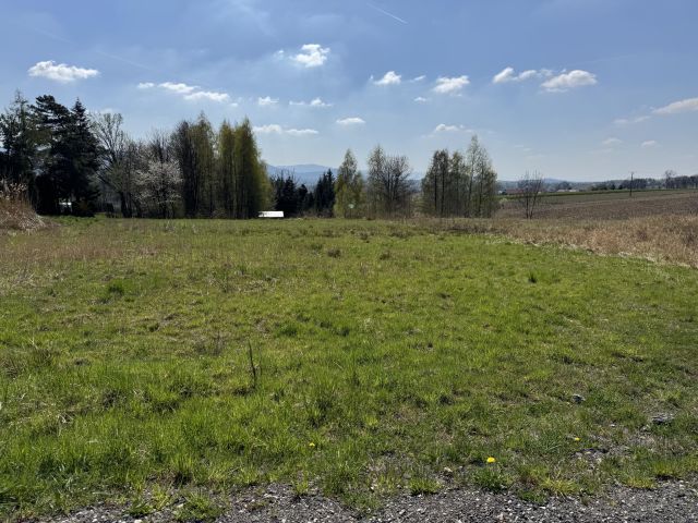 Działka budowlana Jasienica Wygrabowice, ul. Międzyrzecka. Zdjęcie 4