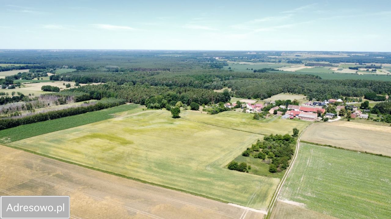 Działka rolno-budowlana Baranowice. Zdjęcie 6
