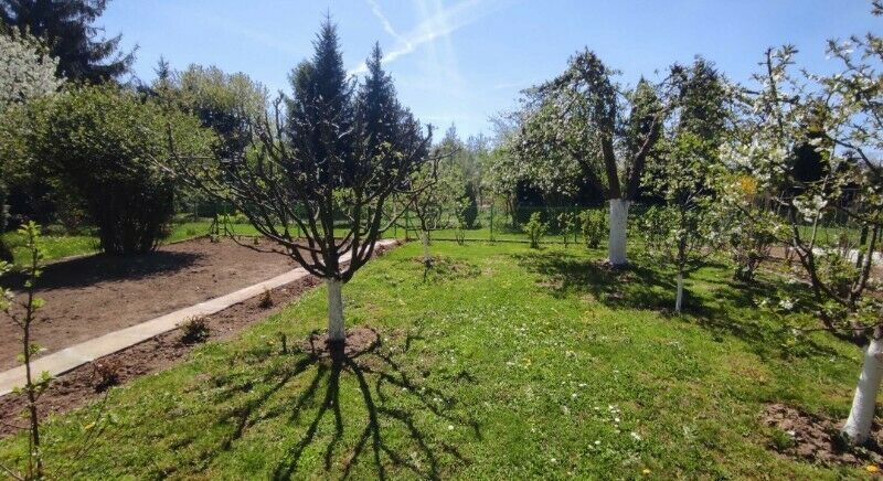 Działka rekreacyjna Kraków Płaszów, ul. Golikówka