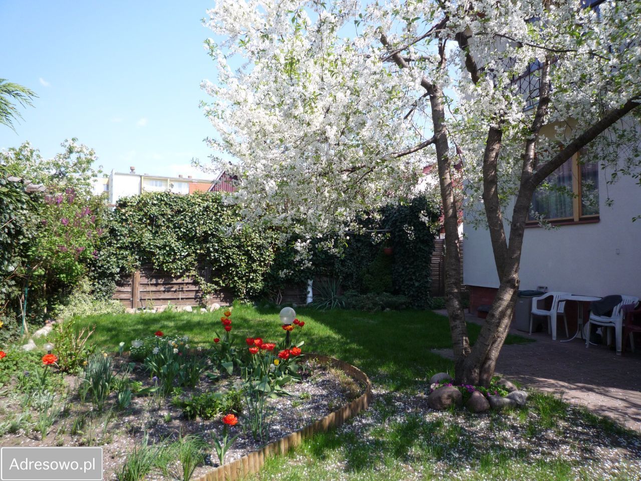 dom wolnostojący, 7 pokoi Szczecin Pomorzany. Zdjęcie 9