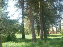 Działka budowlana Biała Podlaska, ul. Łomaska. Zdjęcie 2