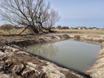 Działka rolna Życzyn. Zdjęcie 4