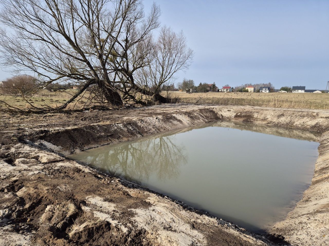 Działka rolna Życzyn. Zdjęcie 5