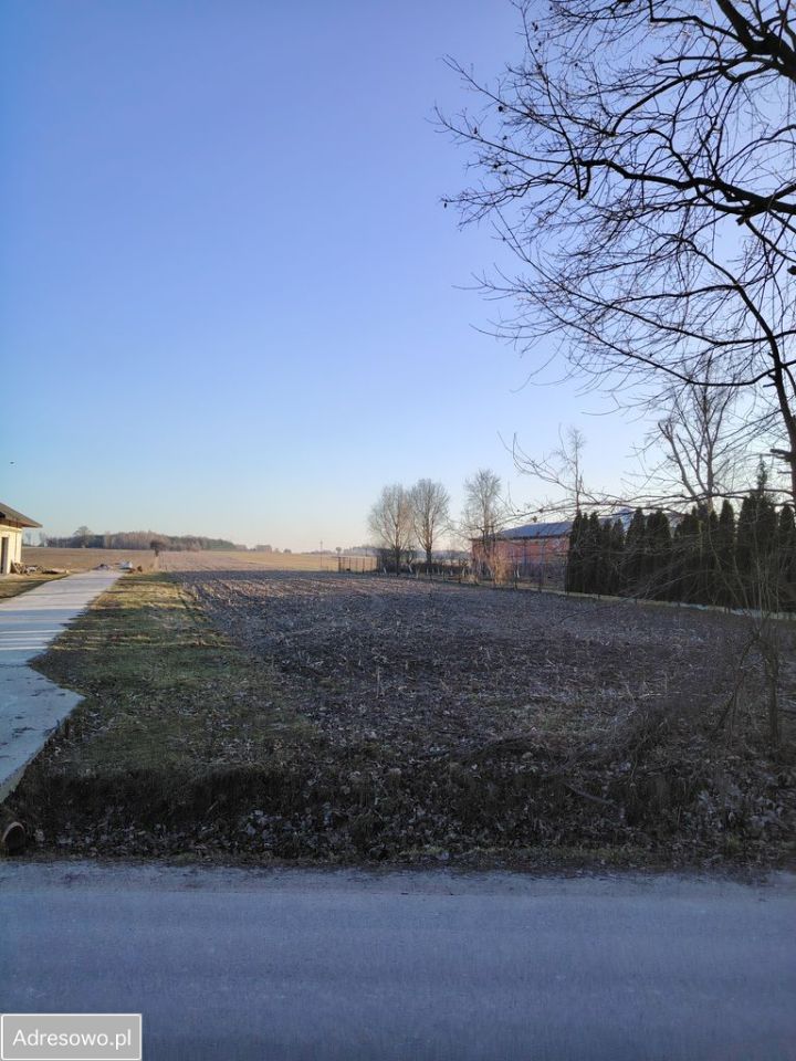 Działka rolno-budowlana Wola Niechcicka Stara. Zdjęcie 4