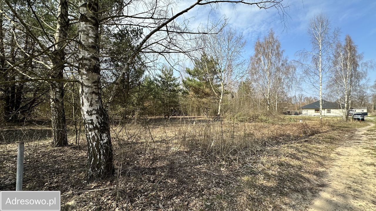 Działka budowlana Wola Pieczyska. Zdjęcie 10