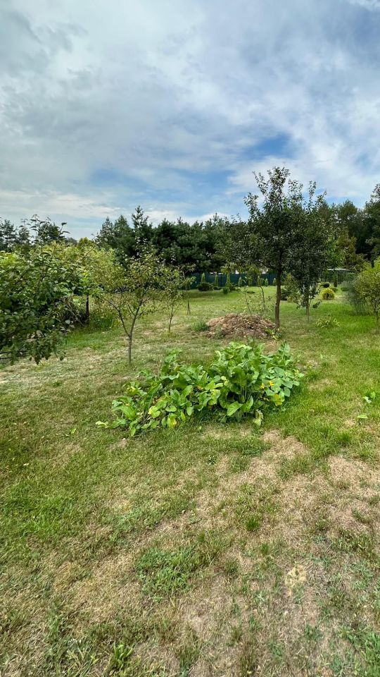 Działka budowlana Świerczyna. Zdjęcie 17