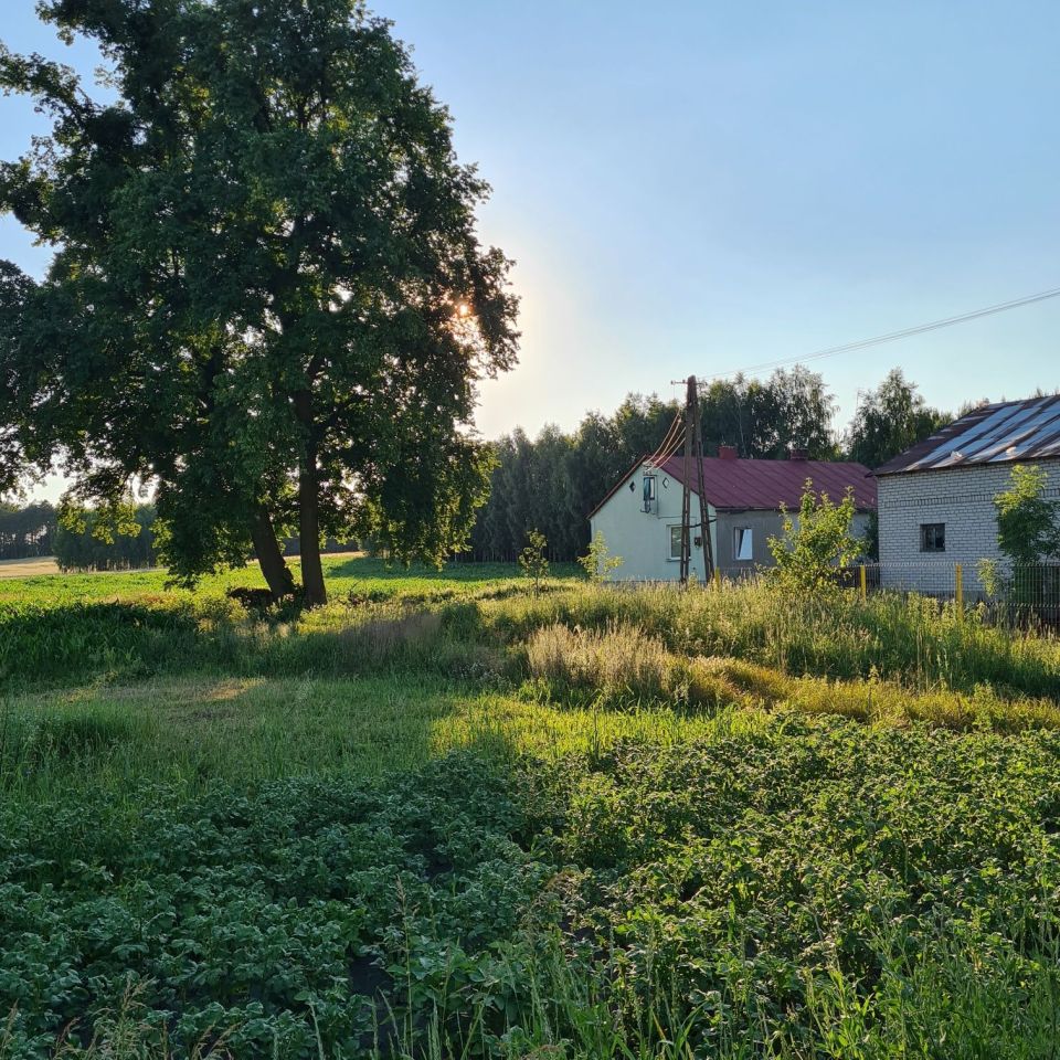 Działka rolno-budowlana Cieciórki Szlacheckie