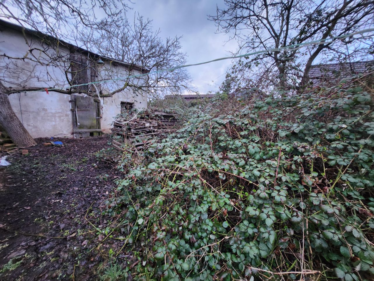 dom wolnostojący, 5 pokoi Dołuje, ul. Daniela. Zdjęcie 9