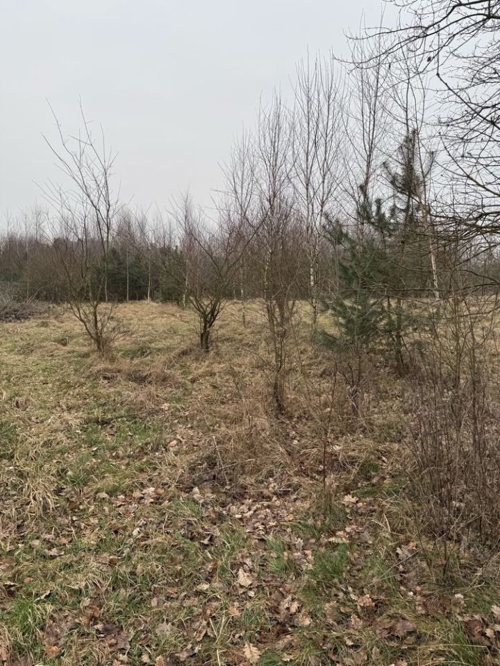 Działka budowlana Zębowo, ul. Łąkowa. Zdjęcie 8