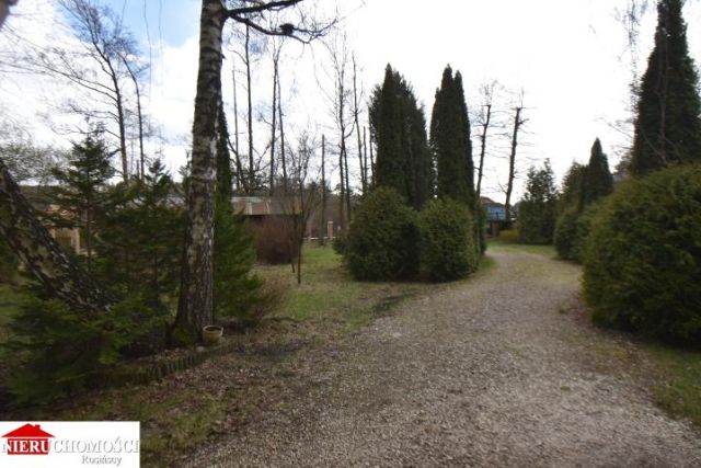 Hala/magazyn Wołomin. Zdjęcie 8