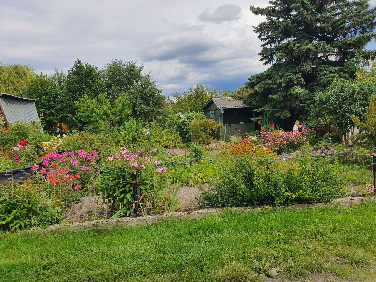 Działka rod Chełm, ul. Żabia. Zdjęcie 5