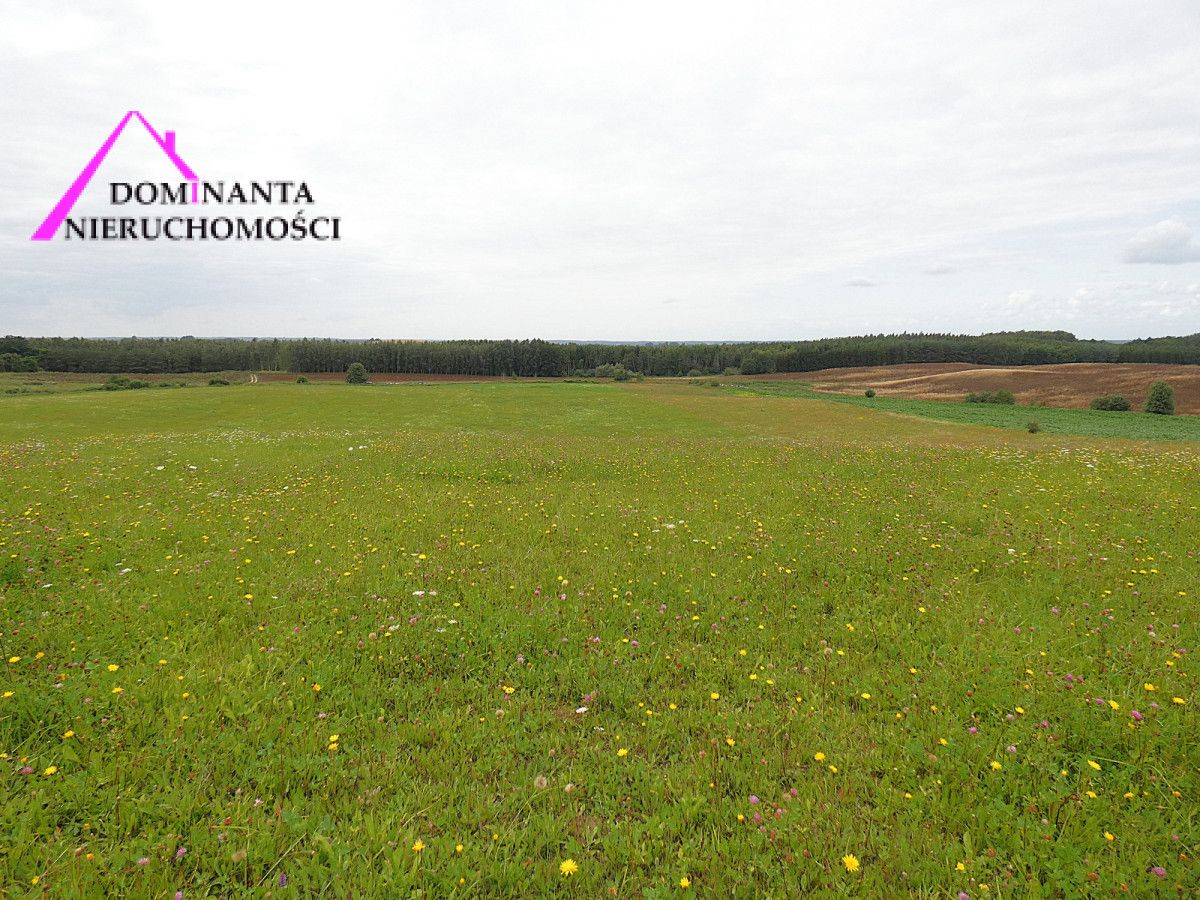 Działka rolna Gronowo. Zdjęcie 15