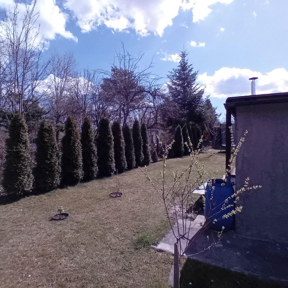 Działka rod Gliwice, ul. Rybnicka. Zdjęcie 6