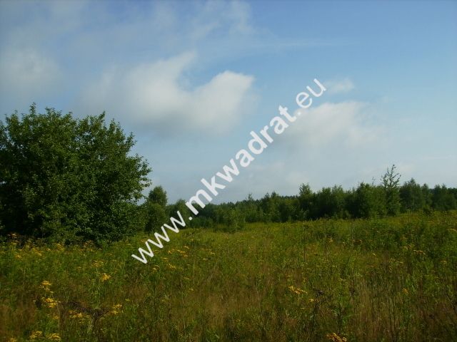 Działka budowlana Czosnów. Zdjęcie 5