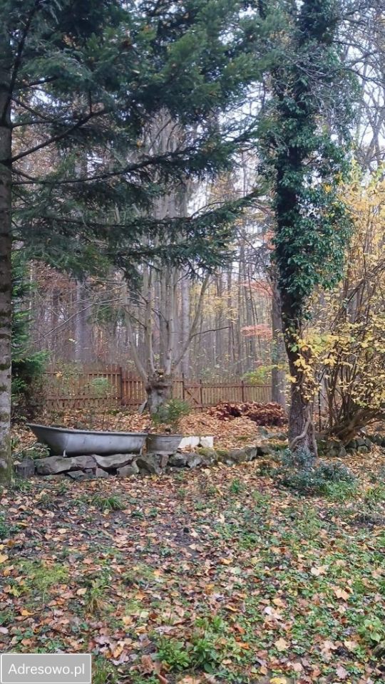 dom wolnostojący, 3 pokoje Polanica-Zdrój. Zdjęcie 5