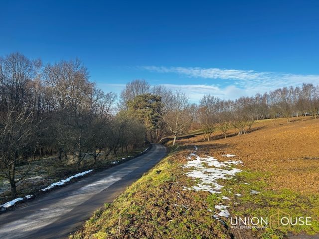 Działka rolna Grębynice, ul. Parkowa. Zdjęcie 2