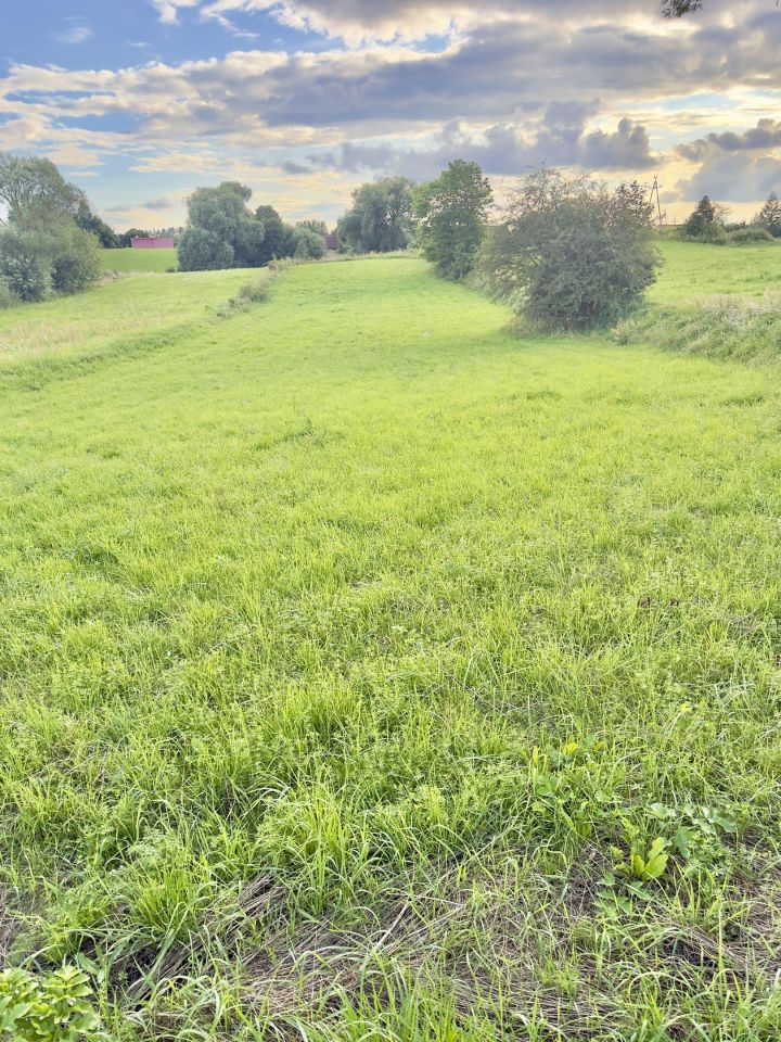 Działka rolno-budowlana Dłużec, Dłużec. Zdjęcie 9