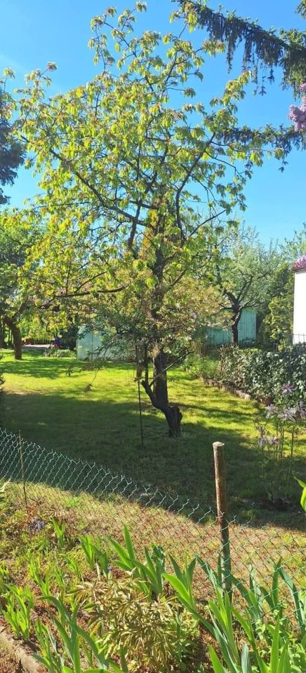 Działka rod Poznań Ogrody, ul. Bukowska. Zdjęcie 3