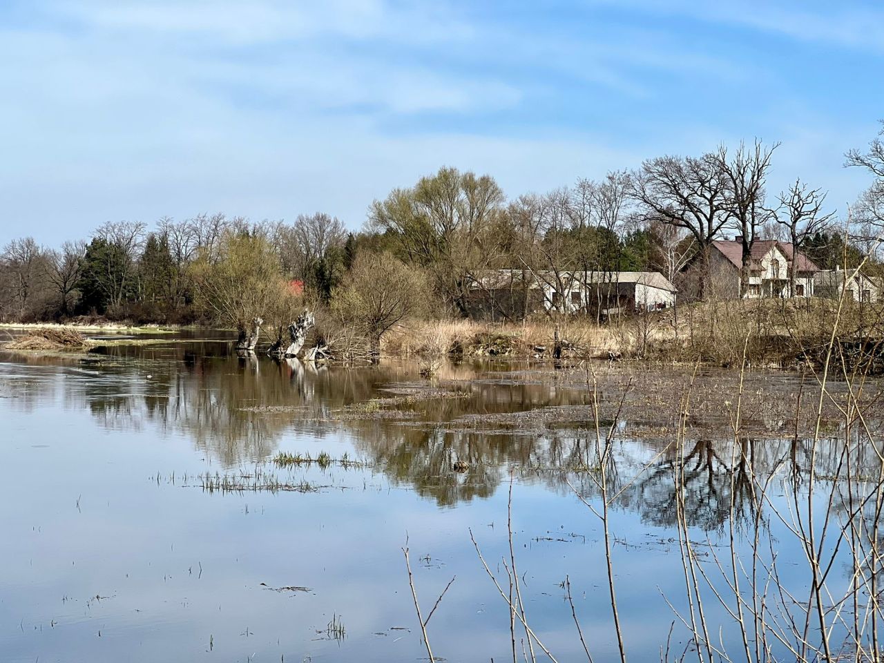 Działka budowlana Stasiopole, ul. Graniczna. Zdjęcie 2