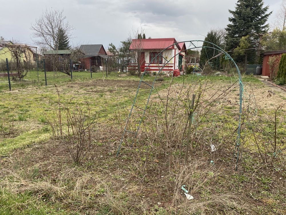 Działka rod Dębica. Zdjęcie 4